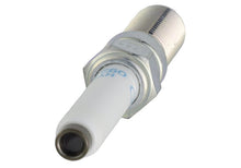 Load image into Gallery viewer, Photo - Unmounted