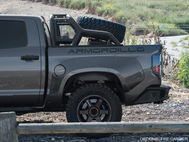 ARMORDILLO CR1 CHASE RACK FOR FULL SIZE TRUCKS