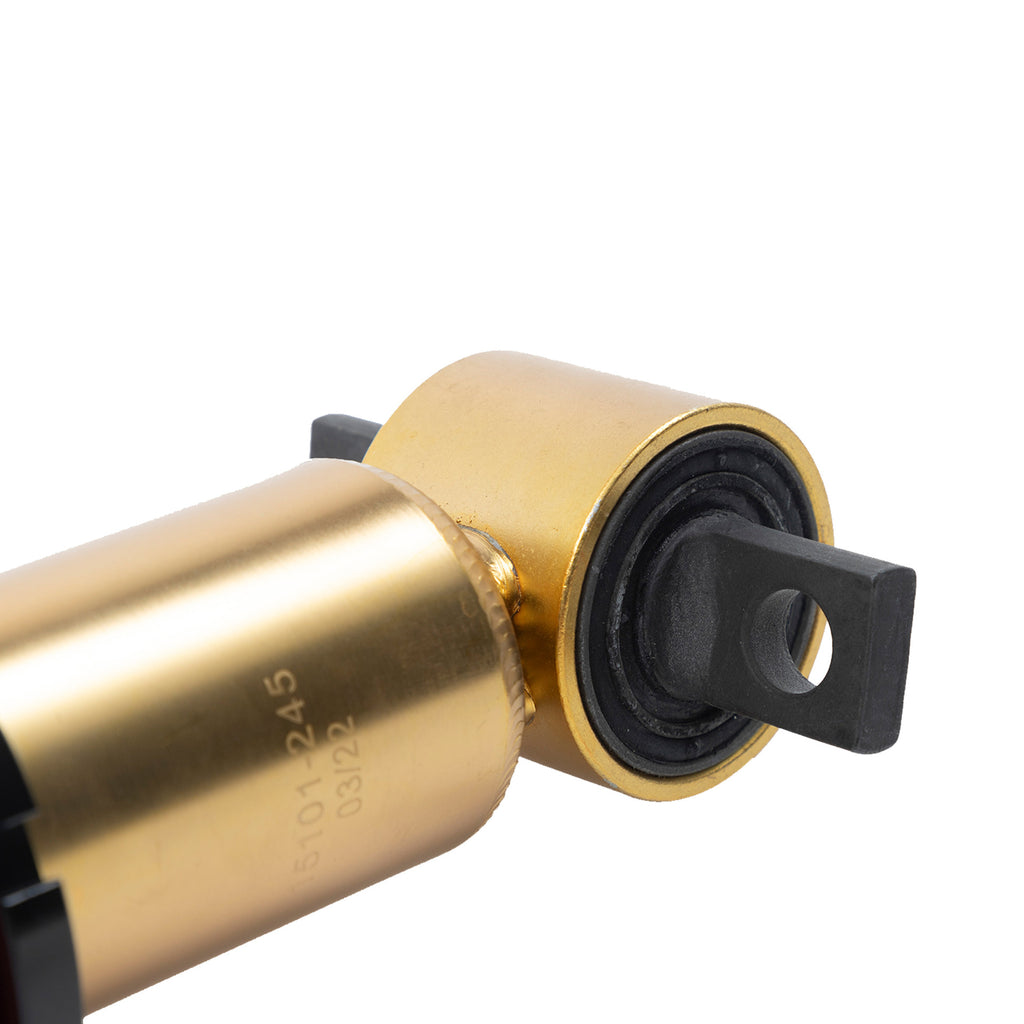 BELTECH COIL OVER KIT | 0-2 INCH LEVELING Ford F150 2015-2020 All Cabs 2WD/4WD