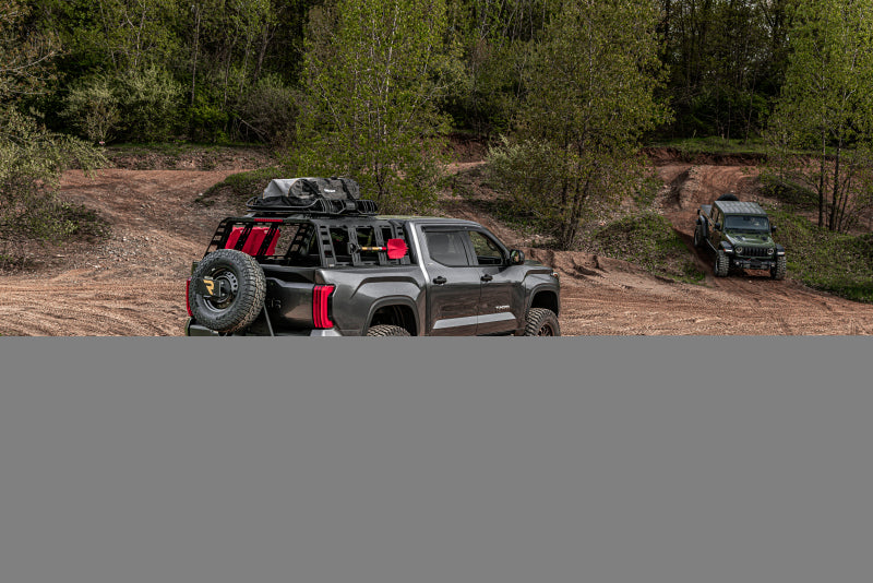 Go Rhino Swing-A-Way Hitch Mounted Tire Carrier (Lic. Plate Lights Not Included) - Textured Black