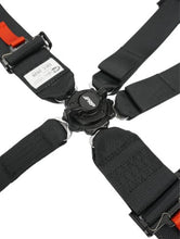 Load image into Gallery viewer, PRP 5.3x2 Cam-Lock Harness