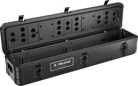 Pelican Cargo Case